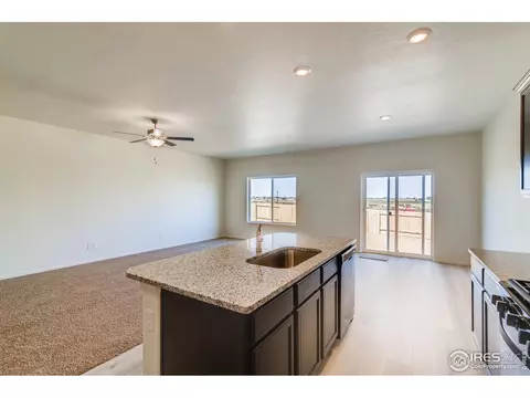 1083 Long Meadows St, Windsor, CO 80550 photo 11