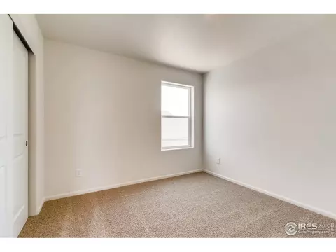 1064 Long Meadows St, Windsor, CO 80550 photo 13
