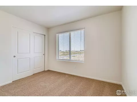 1064 Long Meadows St, Windsor, CO 80550 photo 15