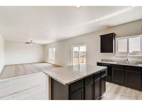 1064 Long Meadows St, Windsor, CO 80550 photo 8