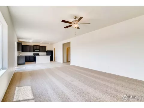 1064 Long Meadows St, Windsor, CO 80550 photo 6