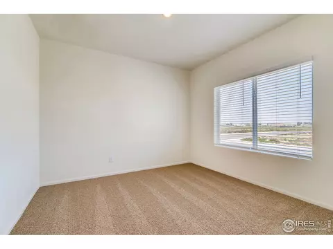 1064 Long Meadows St, Windsor, CO 80550 photo 10
