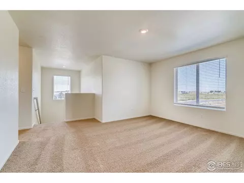 1064 Long Meadows St, Windsor, CO 80550 photo 17