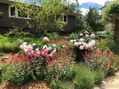 4500 Brookfield Dr, Boulder, CO 80305 photo 3