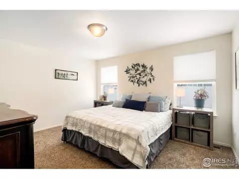 840 Sunlight Peak Dr, Windsor, CO 80550 photo 11