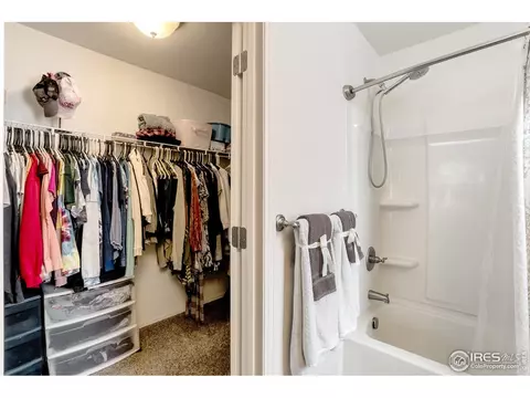 840 Sunlight Peak Dr, Windsor, CO 80550 photo 14