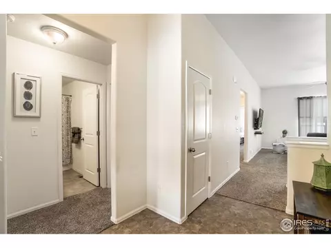 840 Sunlight Peak Dr, Windsor, CO 80550 photo 15