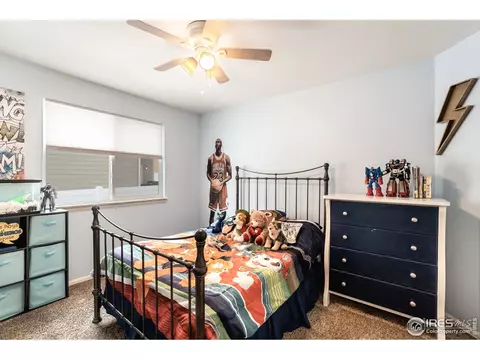 840 Sunlight Peak Dr, Windsor, CO 80550 photo 18