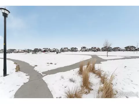 840 Sunlight Peak Dr, Windsor, CO 80550 photo 25