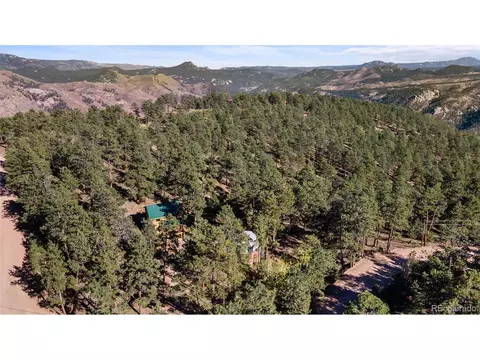 310 Holmes Gulch Rd, Bailey, CO 80421 photo 37