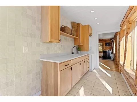 310 Holmes Gulch Rd, Bailey, CO 80421 photo 22
