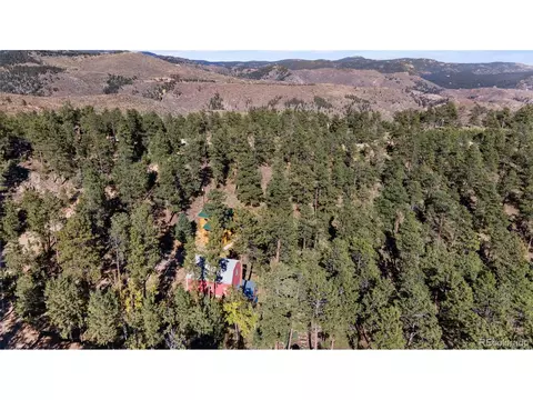 310 Holmes Gulch Rd, Bailey, CO 80421 photo 38