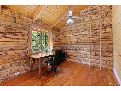 310 Holmes Gulch Rd, Bailey, CO 80421 photo 17