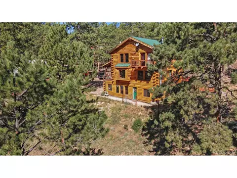 310 Holmes Gulch Rd, Bailey, CO 80421 photo 43