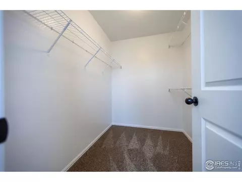 3445 Petrel Dr, Berthoud, CO 80513 photo 9