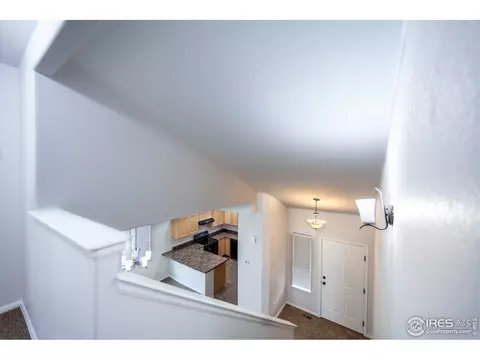 3445 Petrel Dr, Berthoud, CO 80513 photo 4