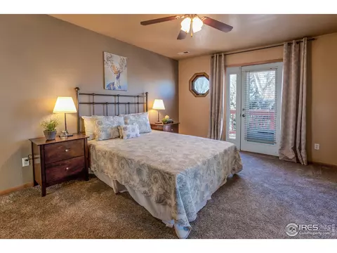 617 Hemlock Dr, Windsor, CO 80550 photo 20