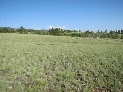 117 Angus Cir, Hartsel, CO 80449 photo 2