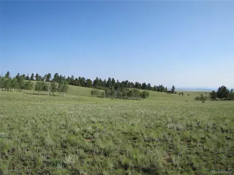 117 Angus Cir, Hartsel, CO 80449 photo 4