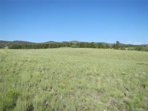 117 Angus Cir, Hartsel, CO 80449 photo 3