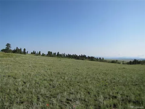 117 Angus Cir, Hartsel, CO 80449 photo 1