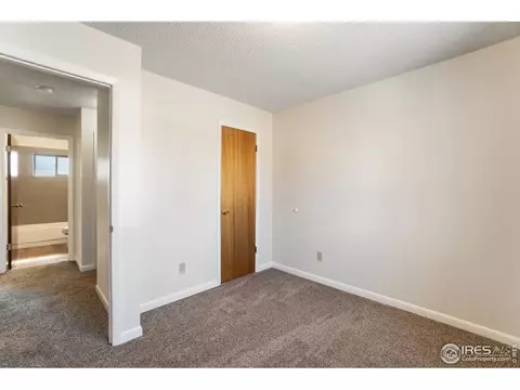 1119 Walnut St, Windsor, CO 80550 photo 12