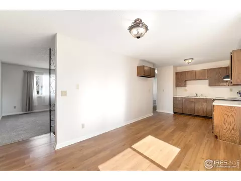 1119 Walnut St, Windsor, CO 80550 photo 5