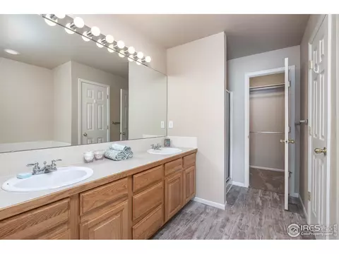 106 Bayside Cir, Windsor, CO 80550 photo 16