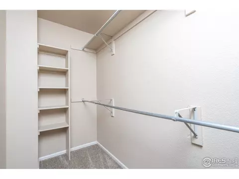 106 Bayside Cir, Windsor, CO 80550 photo 18