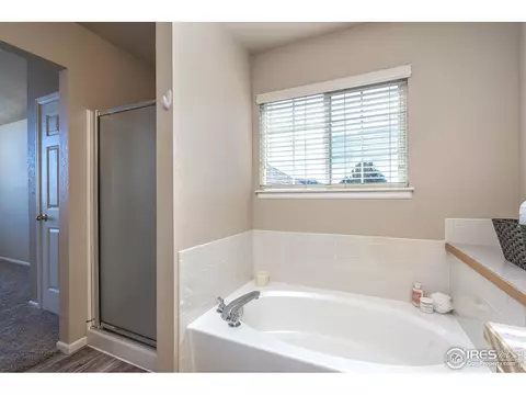 106 Bayside Cir, Windsor, CO 80550 photo 29
