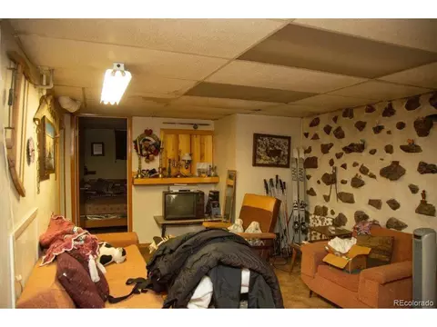 9 Silver Dr, Creede, CO 81130 photo 17