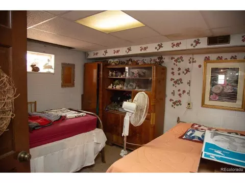 9 Silver Dr, Creede, CO 81130 photo 16