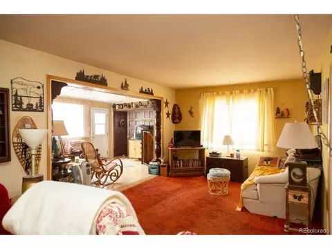 9 Silver Dr, Creede, CO 81130 photo 22