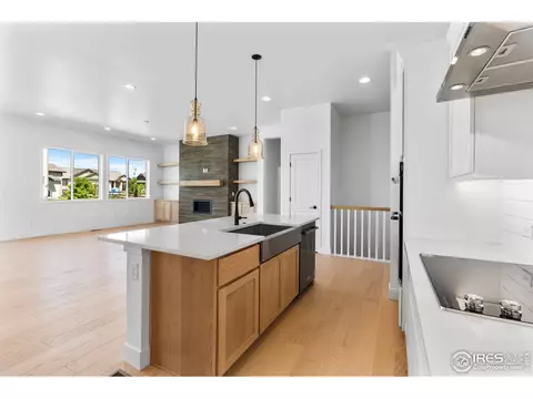 948 Pitch Fork Dr, Windsor, CO 80550 photo 10