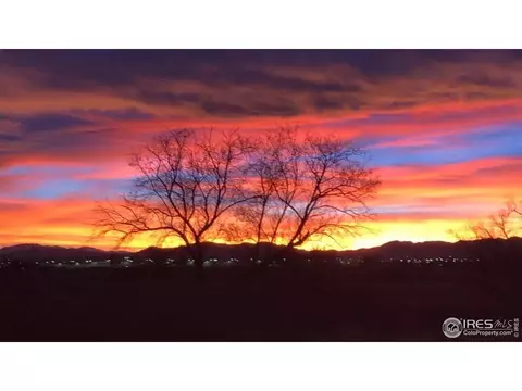 1880 E 150th Ct, Thornton, CO 80602 photo 9