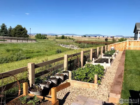 1880 E 150th Ct, Thornton, CO 80602 photo 19