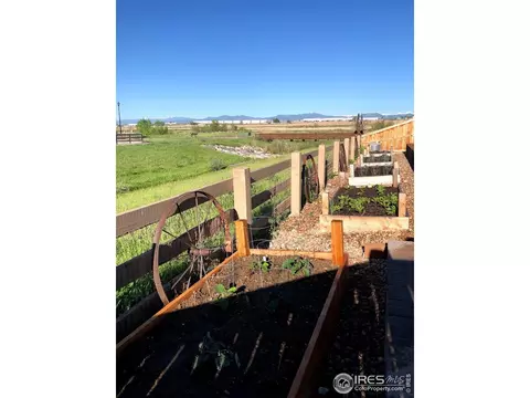 1880 E 150th Ct, Thornton, CO 80602 photo 17