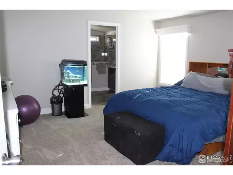 208 Agate St, Wiggins, CO 80654 photo 10
