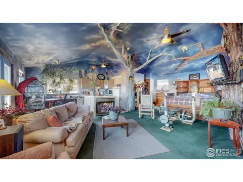 1053 5th Ave, Lyons, CO 80540 photo 27