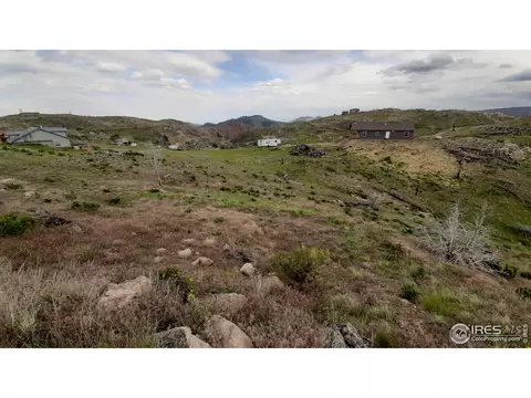 254 Haystack Mtn Ct, Livermore, CO 80536 photo 10