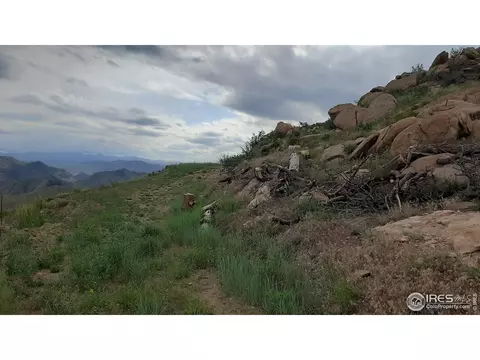254 Haystack Mtn Ct, Livermore, CO 80536 photo 11