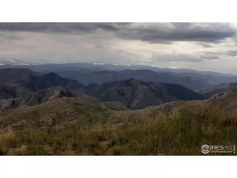 254 Haystack Mtn Ct, Livermore, CO 80536 photo 2