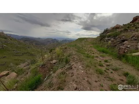 254 Haystack Mtn Ct, Livermore, CO 80536 photo 13
