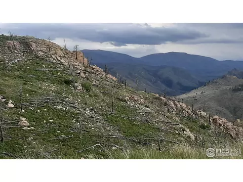 254 Haystack Mtn Ct, Livermore, CO 80536 photo 3