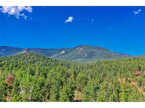 177 Gray St, Bailey, CO 80421 photo 40