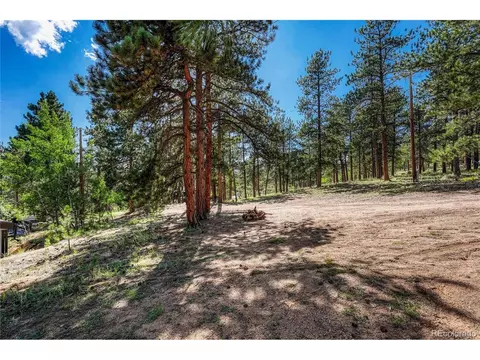 177 Gray St, Bailey, CO 80421 photo 36