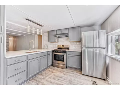 177 Gray St, Bailey, CO 80421 photo 18