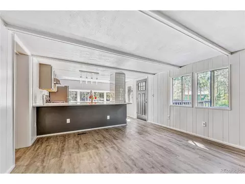 177 Gray St, Bailey, CO 80421 photo 15