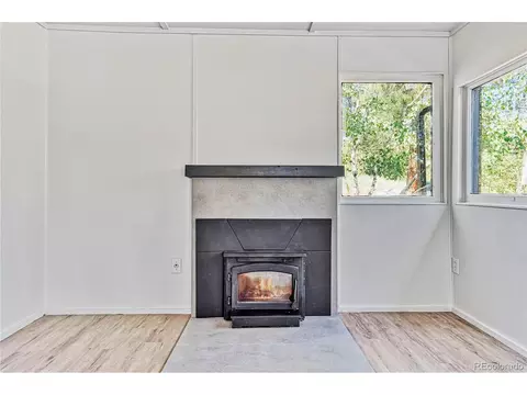 177 Gray St, Bailey, CO 80421 photo 9