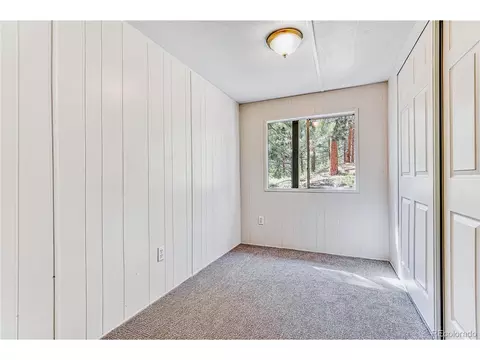 177 Gray St, Bailey, CO 80421 photo 24
